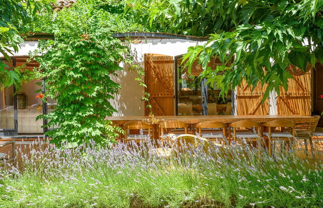 Villa Cicadis, Lavendel im Garten