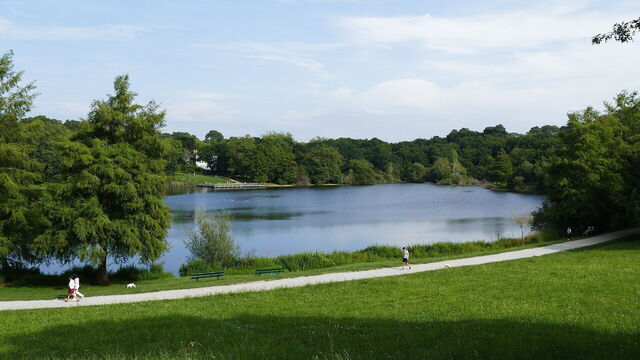 Marion See