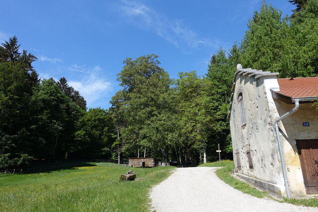 Parc Animalier de la Grande Jeanne, Wiese
