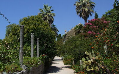 Arboretum Trsteno, Pflanzen