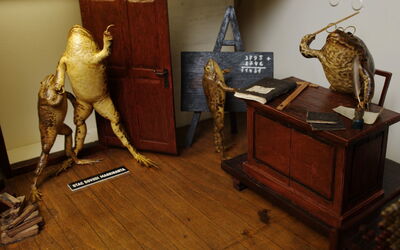 Froggyland, Klassenzimmer Szene