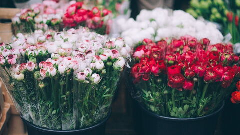 Cours Saleya, Blumen