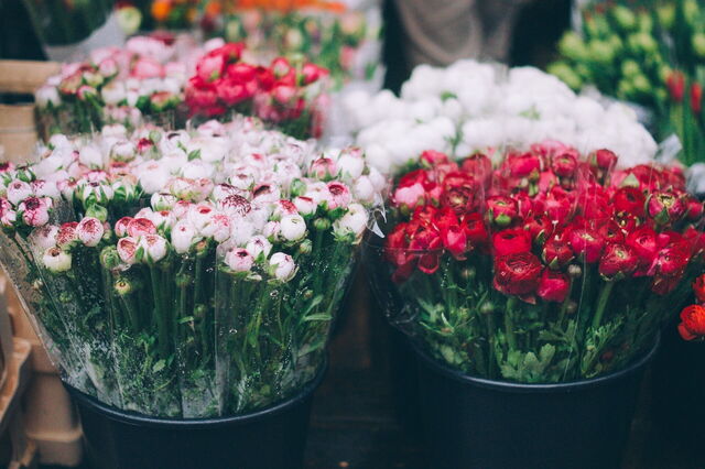 Cours Saleya, Blumen