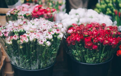 Cours Saleya, Blumen