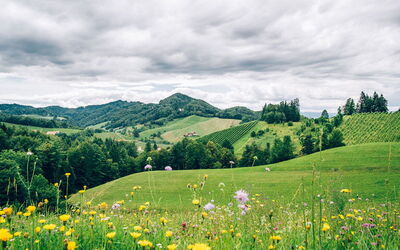 Ferienunterkünfte in der Steiermark