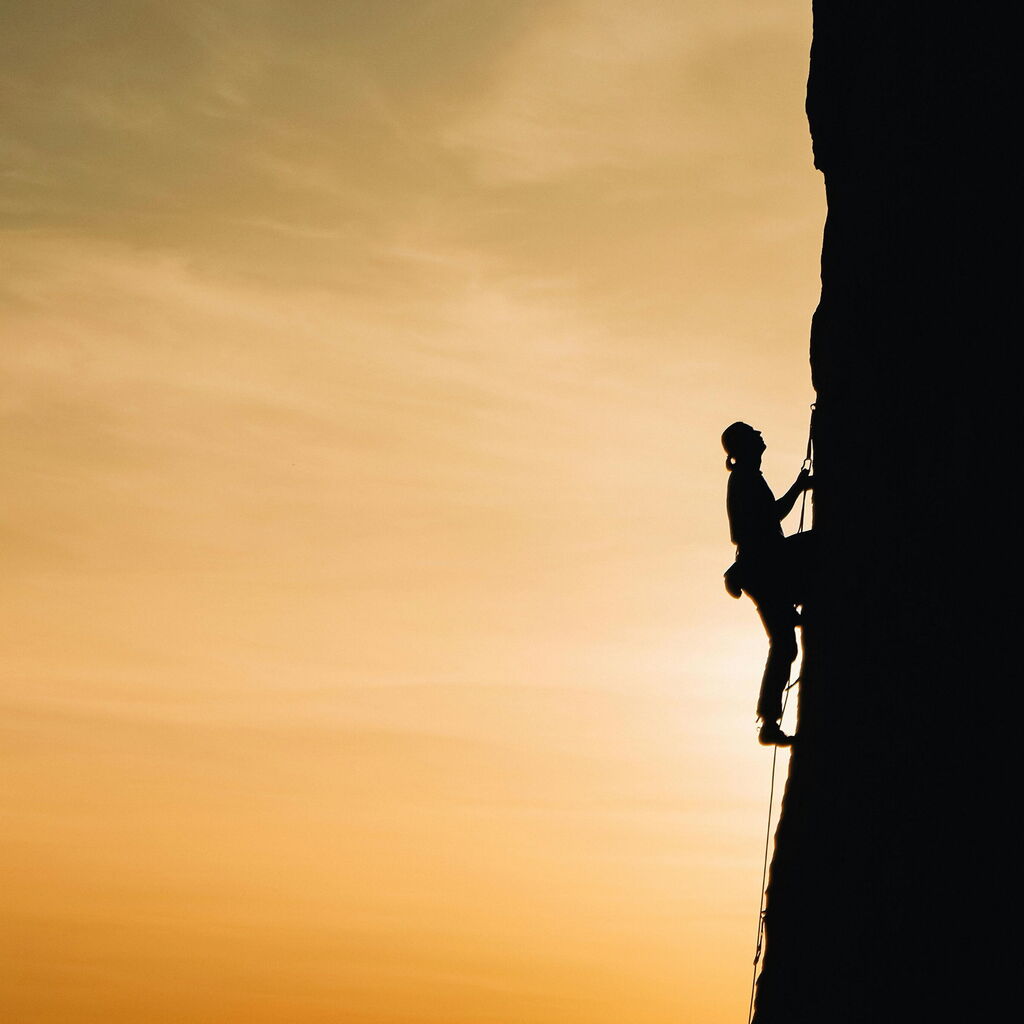 Colette Fitzpatrick