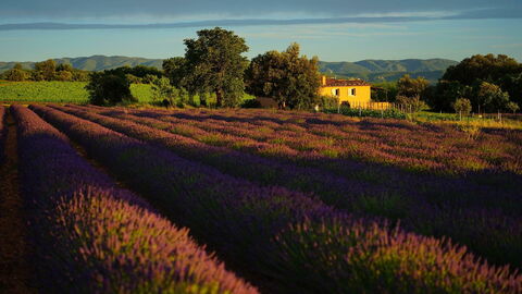 Landschaft der Provence