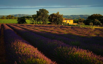 Landschaft der Provence