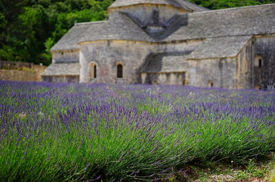 Abbaye Notre-Dame de Sénanque