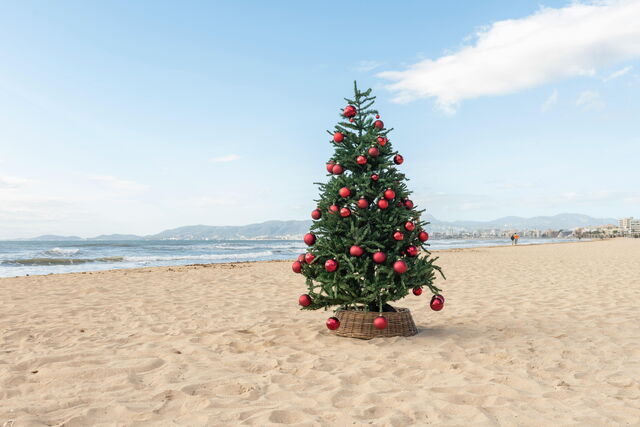 Weihnachten, Mallorca