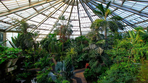 Parc Phoenix, Gewächshaus