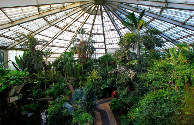 Parc Phoenix, Gewächshaus