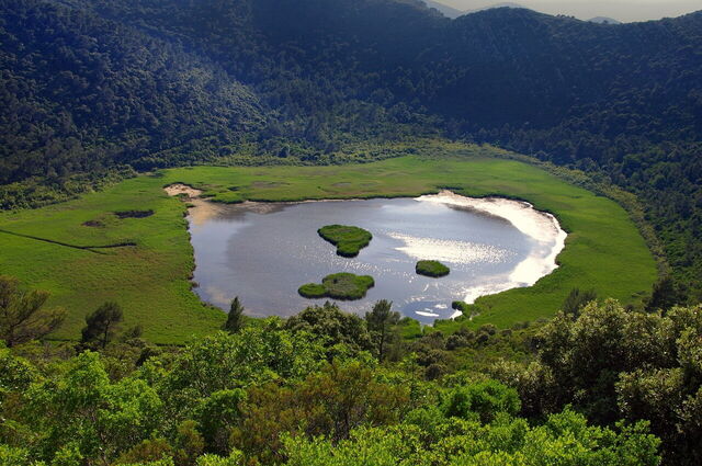 Mljet, See