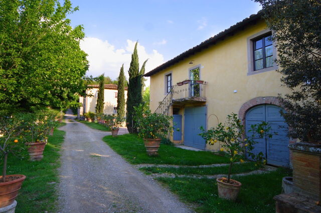 Giaggiolo