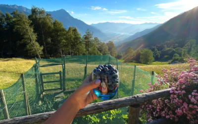 Baita Lake View, Ausblick