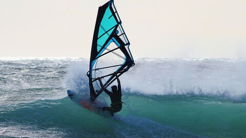 Surfer