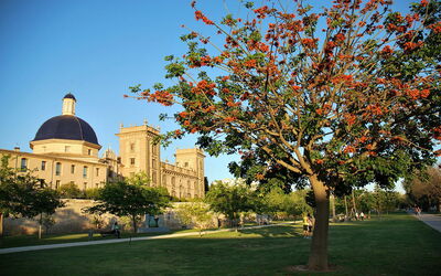 Museu de Belles Arts de València