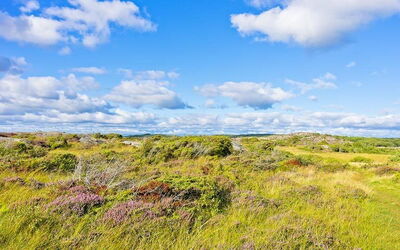 Ferienunterkünfte in Halland
