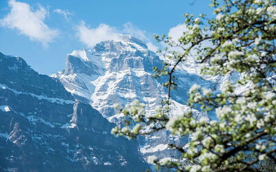 Ferienunterkünfte in Glarus