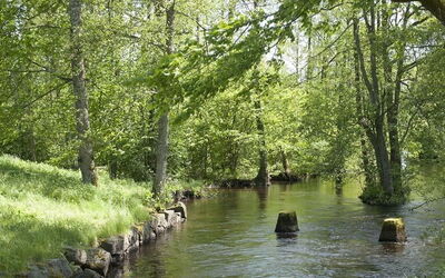 Ferienunterkünfte in Kronoberg