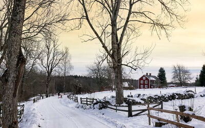 Ferienunterkünfte in Kronoberg