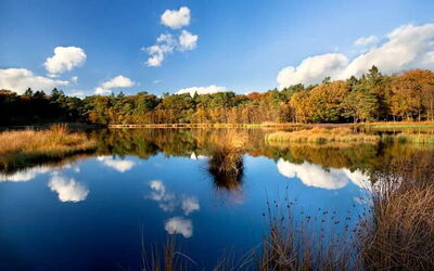 Ferienunterkünfte in Drenthe