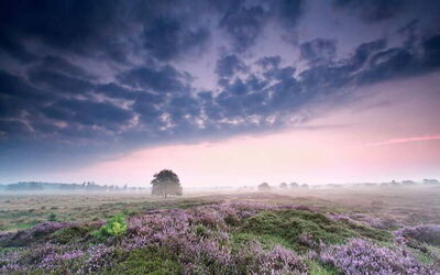 Ferienunterkünfte in Drenthe