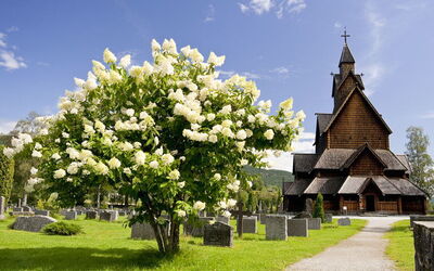 Ferienunterkünfte in Telemark