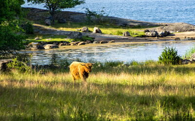 Ferienunterkünfte in Blekinge