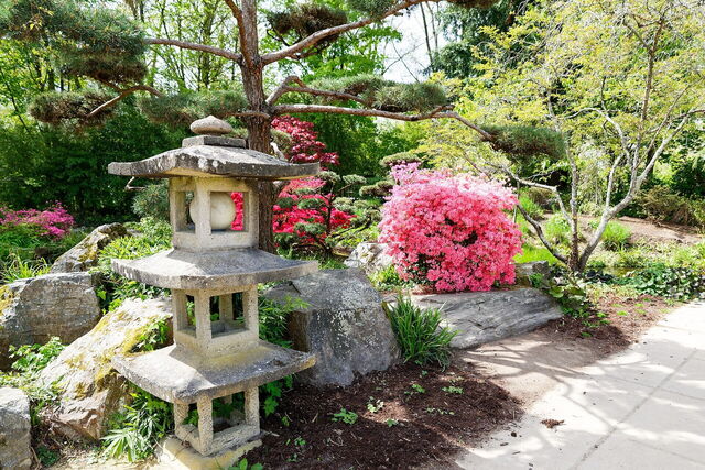 Jardin Japonais de l'Île de Versailles, Pflanzen
