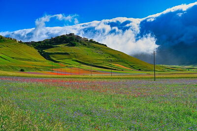Piani di Castelluccio