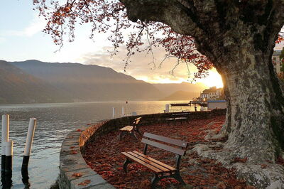 Villa Carlotta, Seeufer