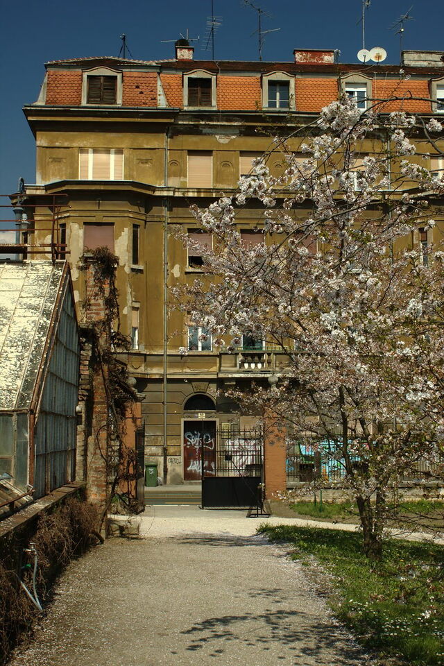Botanischer Garten von Zagreb, Kirschblüten