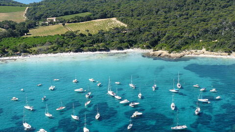 Boote im Meer vor Porquerolles