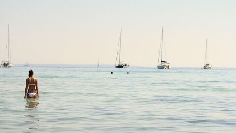 Ins Wasser gehen