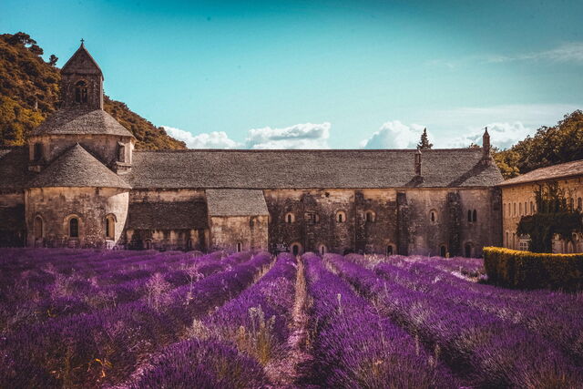 Notre-Dame de Senanque