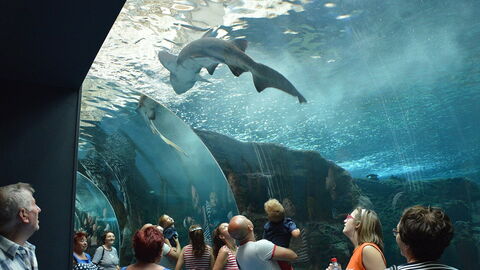 CretAquarium