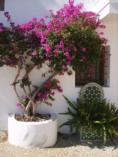 Hübscher Ausblick in den Straßen von Altea