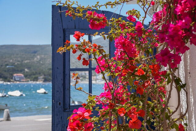 Blumen in Cadaqués