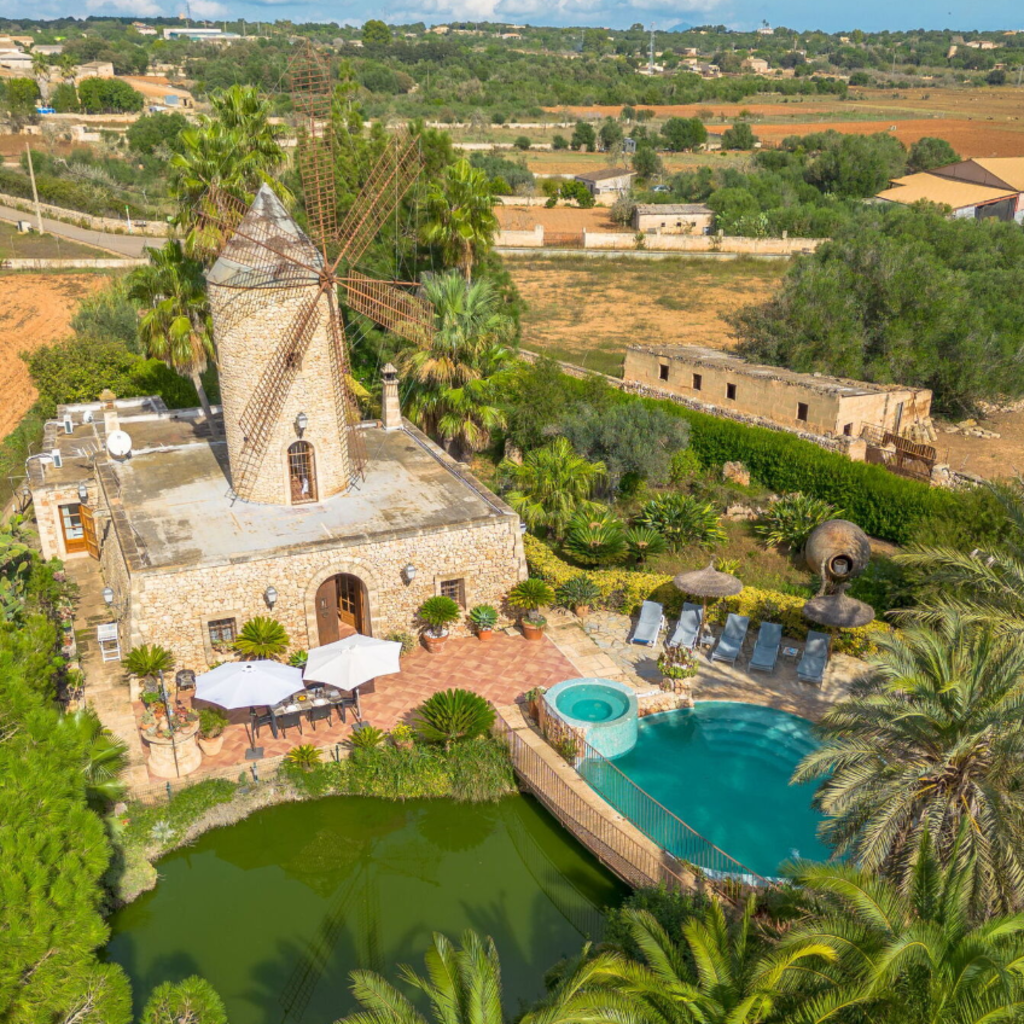 Colette Fitzpatrick