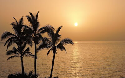 Ein Strand im Winter