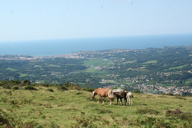 Blick auf Saint-Jean-de-Luz