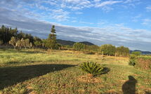 Bild vorgelegt von den Gästen von Can Barbara 