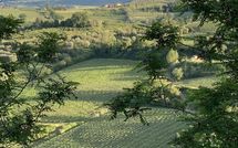 Bild vorgelegt von den Gästen von Villa la Vedetta 