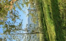 Bild vorgelegt von den Gästen von Il Poggiarone 6 