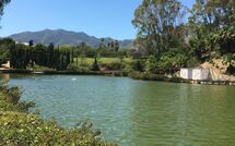 Bild vorgelegt von den Gästen von Benalmádena Costa 121 