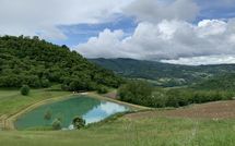 Bild vorgelegt von den Gästen von Fattoria Il Monte 