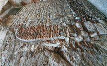 Bild vorgelegt von den Gästen von I Corsari del Corallo - Cervo 