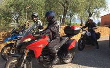 Bild vorgelegt von den Gästen von Uva 