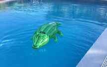 Bild vorgelegt von den Gästen von Uva 